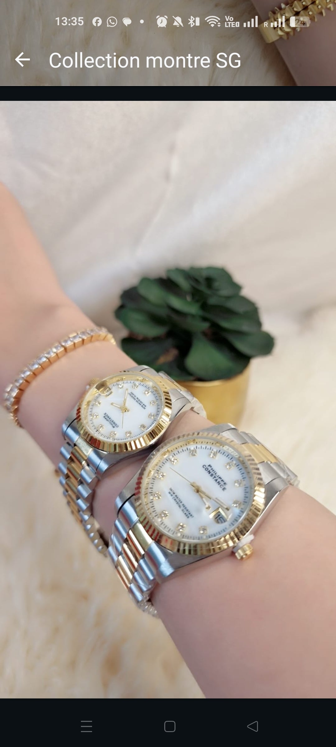 Montre bicolore fond blanc